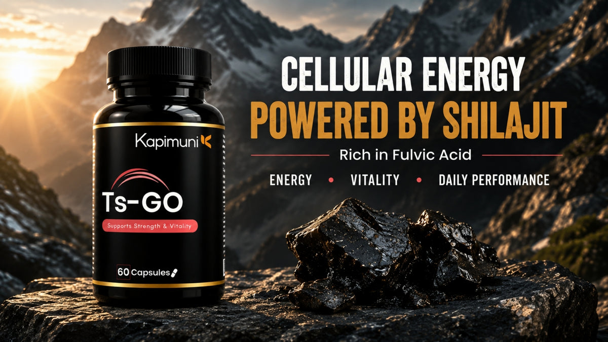Kapimuni – Ayurvedic Wellness for Men